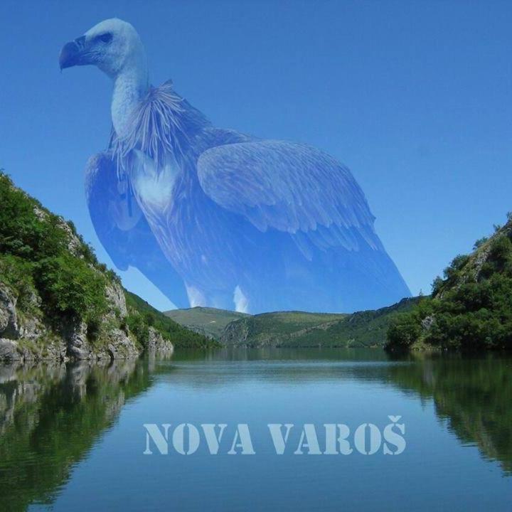 Vila Jelena Zlatar Nova Varos Brdo Eksteriør billede